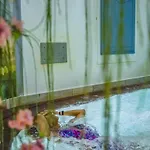 Hotel Alba Wellness &