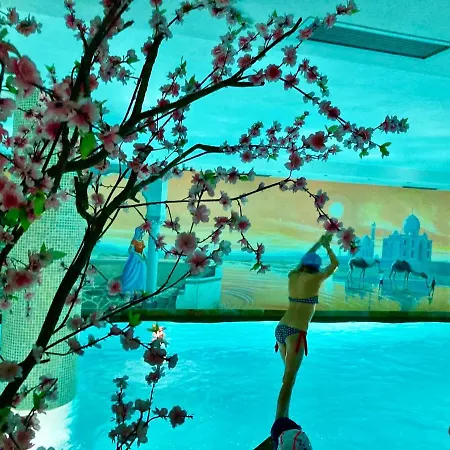Alba Wellness & 호텔