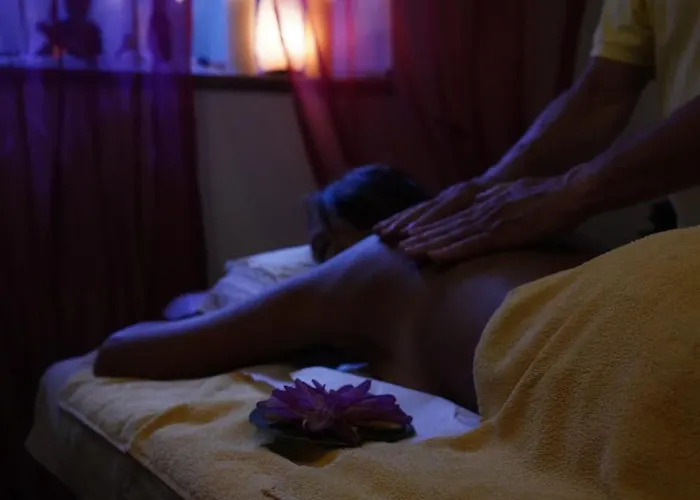 Отель Alba Wellness & 3*