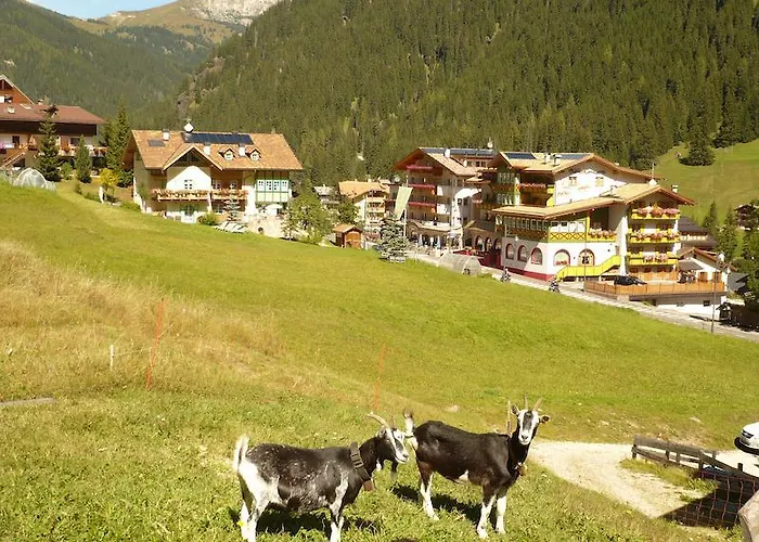 Alba Wellness & מלון קאנזיי